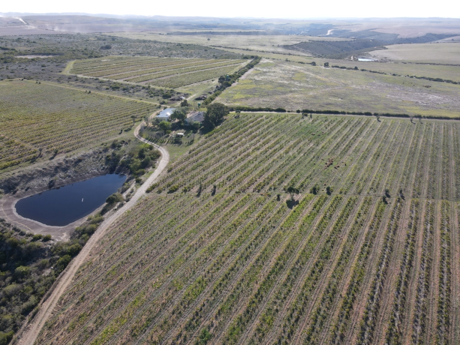 Commercial Property for Sale in Malgas Western Cape